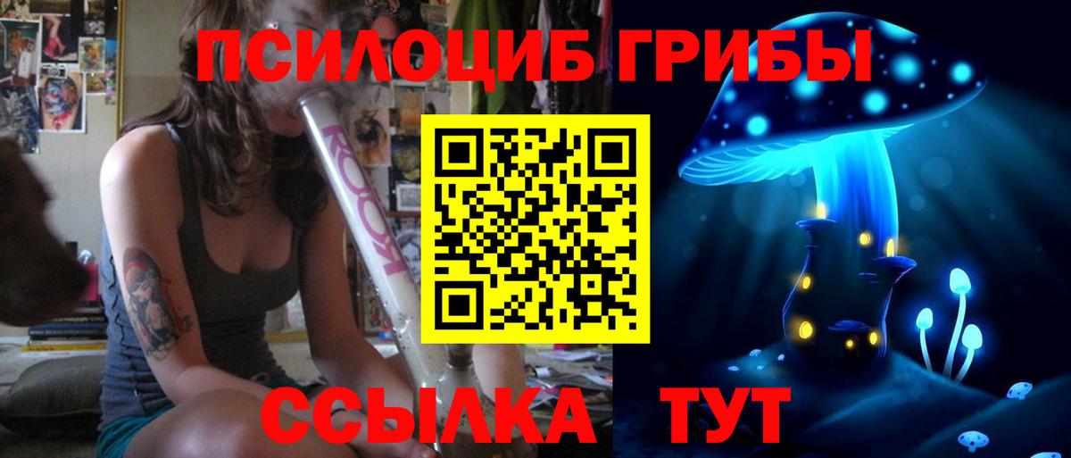 Галлюциногенные грибы Cubensis Белорецк